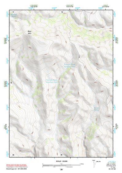 33110NW Page 24 Seneca Topo Preview 1