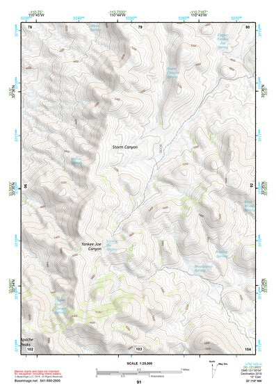 33110NW Page 91 Seneca Topo Preview 1