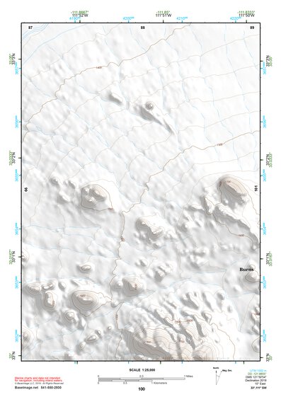 33111SW Page 100 Mesa Topo Preview 1