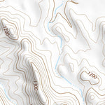 33113NW Page 1 Salome Topo Preview 3