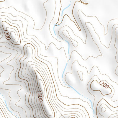 33113NW Page 1 Salome Topo Preview 3