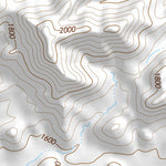 33113NW Page 84 Salome Topo Preview 3