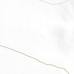 33113NW Page 91 Salome Topo Preview 2