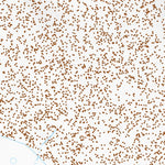 33114NW Page 73 Blythe Topo Preview 3