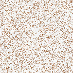 33115NE Page 55 Eagle Mountains Topo Preview 3