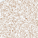33115NE Page 83 Eagle Mountains Topo Preview 3