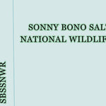 33115SW Page 79 Salton Sea Topo Preview 3