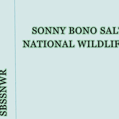 33115SW Page 79 Salton Sea Topo Preview 3