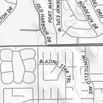 33116NE Page 54 Palm Springs Topo Preview 3