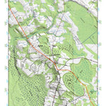 (34079a1) Page 051 Florence Preview 1