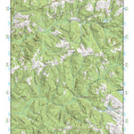 (34081a1) Page 040 Newberry Preview 1
