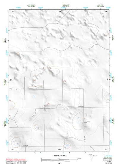 34102SE Page 90 Muleshoe Topo Preview 1