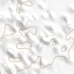 34102SW Page 61 Muleshoe Topo Preview 3