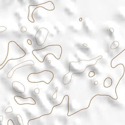 34102SW Page 61 Muleshoe Topo Preview 3