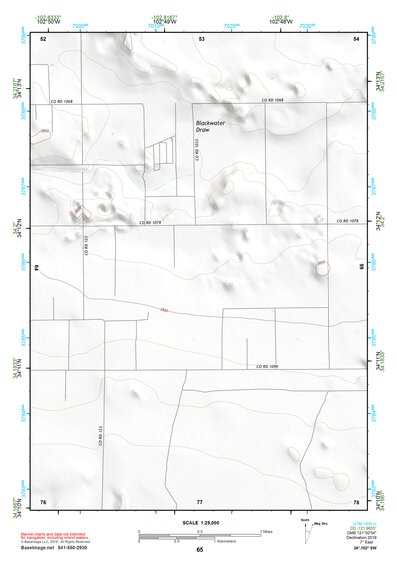 34102SW Page 65 Muleshoe Topo Preview 1