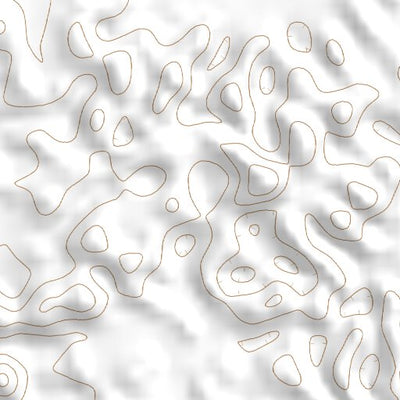 34102SW Page 73 Muleshoe Topo Preview 3