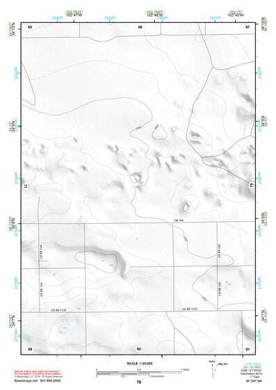 34102SW Page 78 Muleshoe Topo Preview 1