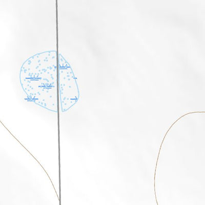 34102SW Page 105 Muleshoe Topo Preview 2