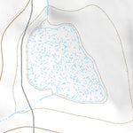 34103NE Page 31 The Caprock Topo Preview 3
