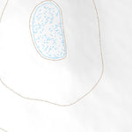 34103NE Page 42 The Caprock Topo Preview 2