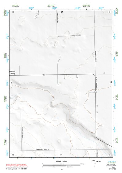 34103SE Page 79 Clovis Topo Preview 1