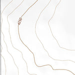 34103SW Page 13 Clovis Topo Preview 2