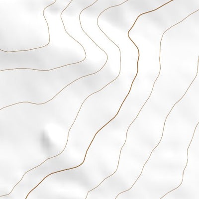 34103SW Page 78 Clovis Topo Preview 3