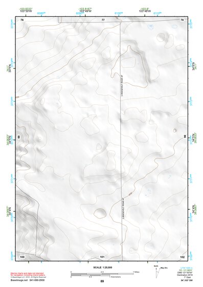 34103SW Page 89 Clovis Topo Preview 1