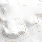 34104NE Page 16 Santa Rosa Topo Preview 3