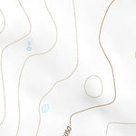 34104NE Page 48 Santa Rosa Topo Preview 2