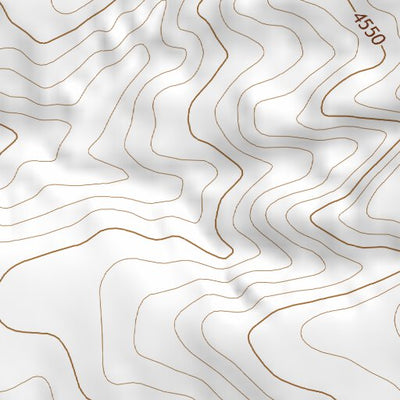 34104NE Page 65 Santa Rosa Topo Preview 3