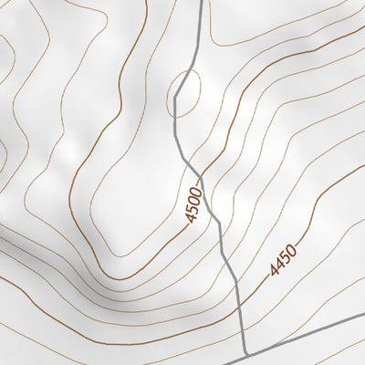 34104NE Page 81 Santa Rosa Topo Preview 3