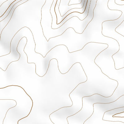 34104NE Page 85 Santa Rosa Topo Preview 2