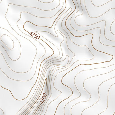 34104NE Page 89 Santa Rosa Topo Preview 3