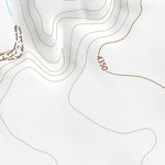34104NE Page 91 Santa Rosa Topo Preview 2