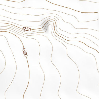 34104NE Page 100 Santa Rosa Topo Preview 2