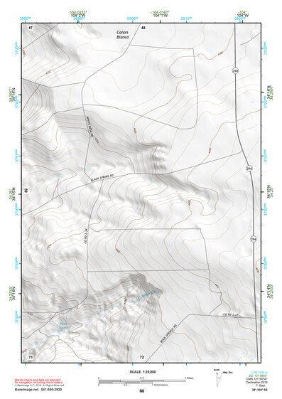 34104SE Page 60 Fort Sumner Topo Preview 1