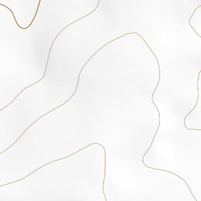 34105NE Page 25 Vaughn Topo Preview 2