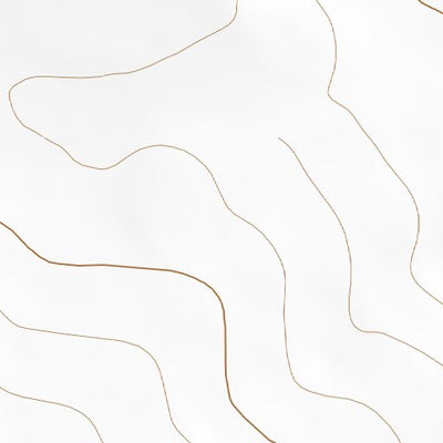 34105NE Page 56 Vaughn Topo Preview 2