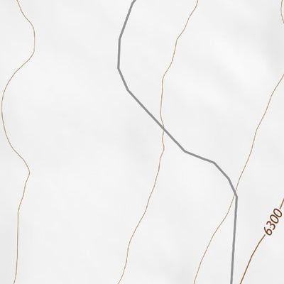 34105SW Page 7 Corona Topo Preview 2