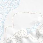 34105SW Page 11 Corona Topo Preview 2