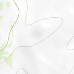 34105SW Page 16 Corona Topo Preview 2