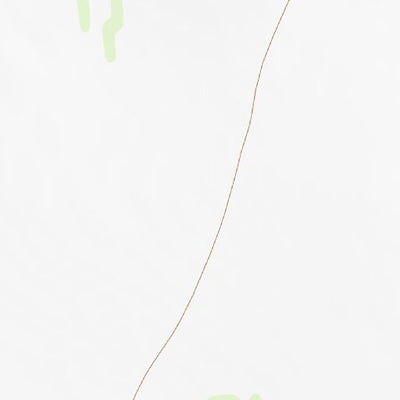 34105SW Page 17 Corona Topo Preview 2