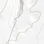 34105SW Page 20 Corona Topo Preview 2