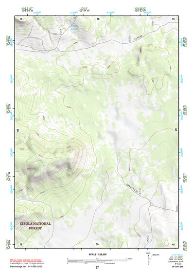 34105SW Page 27 Corona Topo Preview 1