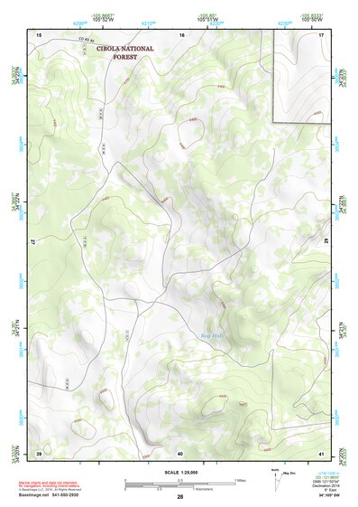 34105SW Page 28 Corona Topo Preview 1