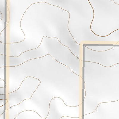 34105SW Page 98 Corona Topo Preview 2