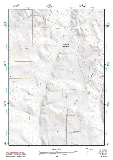 34105SW Page 99 Corona Topo Preview 1