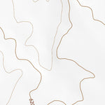 34106SE Page 26 Socorro Topo Preview 2
