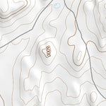 34106SE Page 90 Socorro Topo Preview 2